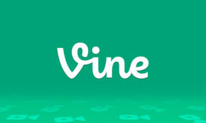 vine