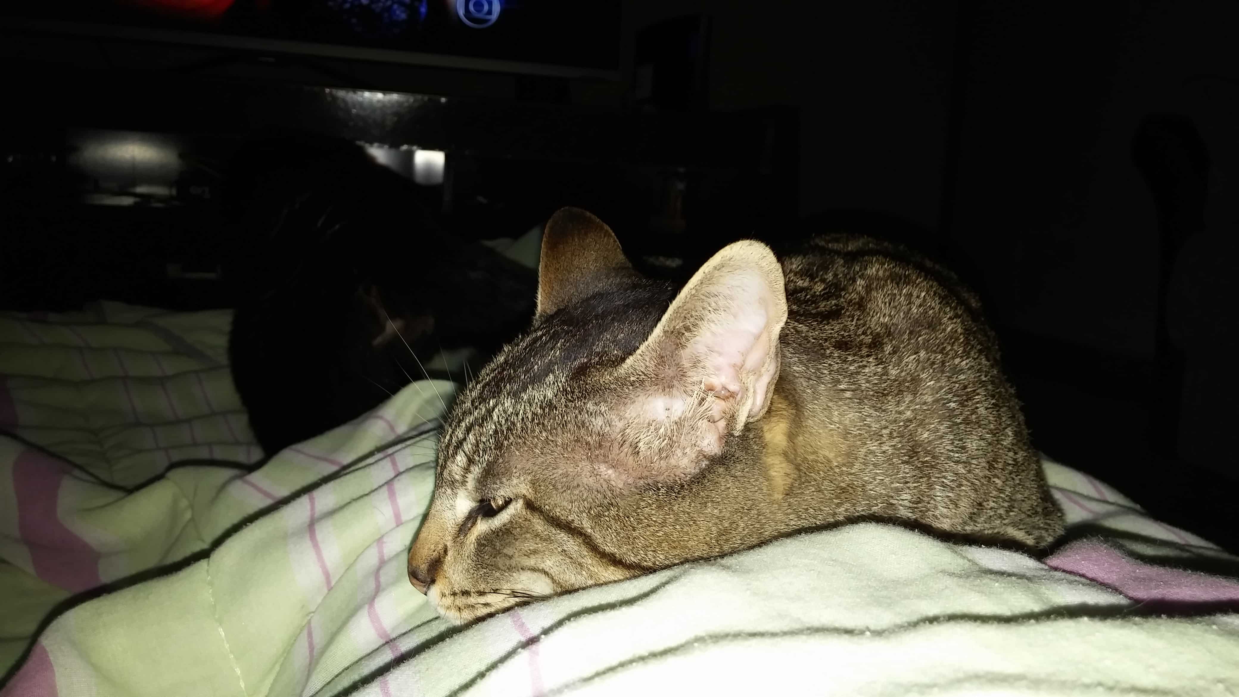 review LG G3 - Foto tirada no escuro