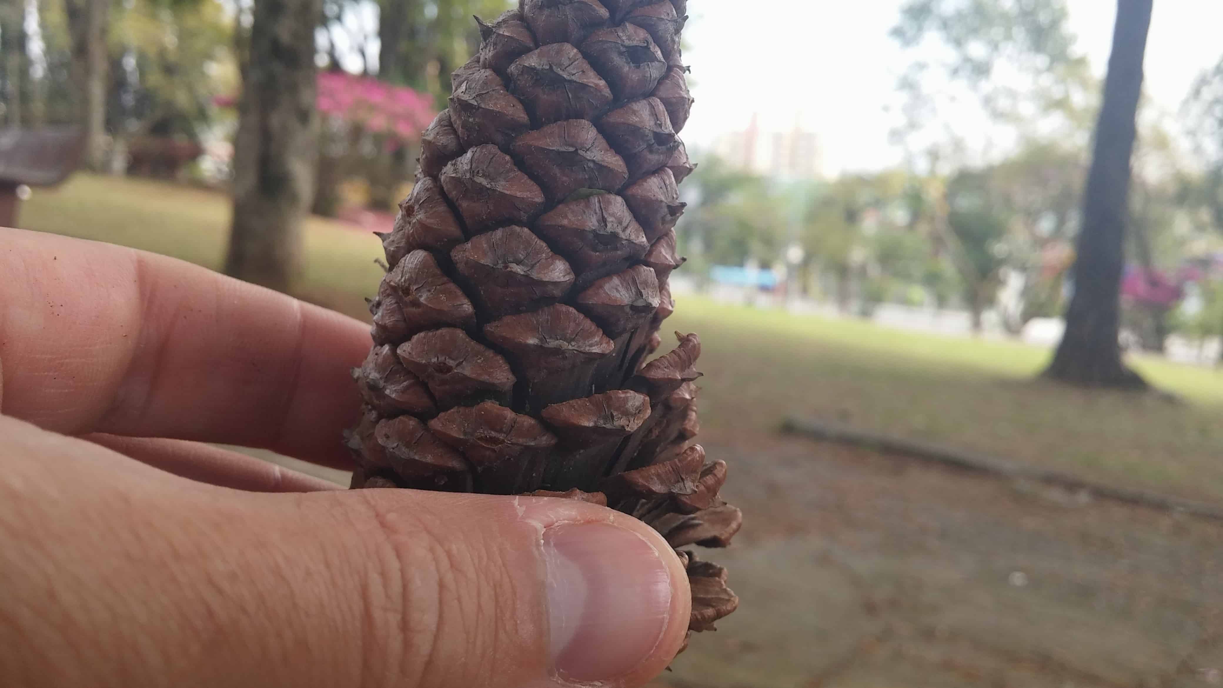 review LG G3 - foco mágico