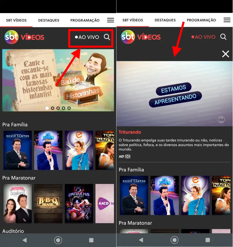 Como assistir o SBT ao vivo e online no celular e PC Como assistir o SBT ao vivo e online no celular e PC