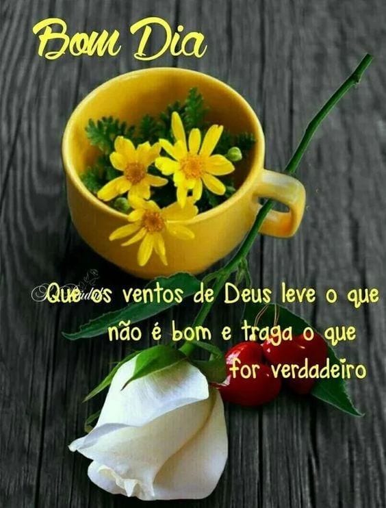 Imagens de Bom dia para WhatsApp [100 fotos grátis]