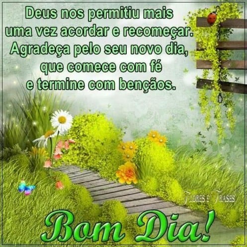 Imagens de Bom dia para WhatsApp [100 fotos grátis]