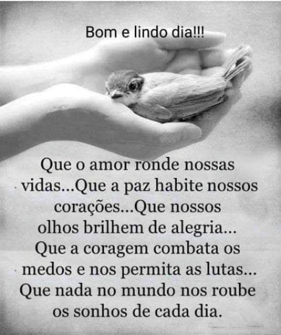 Imagens de Bom dia para WhatsApp [100 fotos grátis]