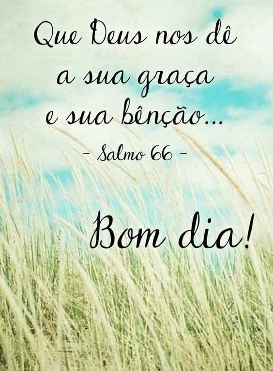 Imagens de Bom dia para WhatsApp [100 fotos grátis]